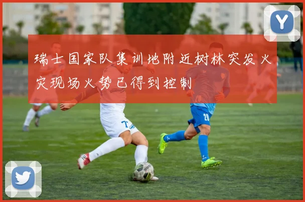 瑞士国家队集训地附近树林突发火灾现场火势已得到控制